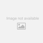 SolarEdge CELL-B-R05-US-P-S2 Cell Modem